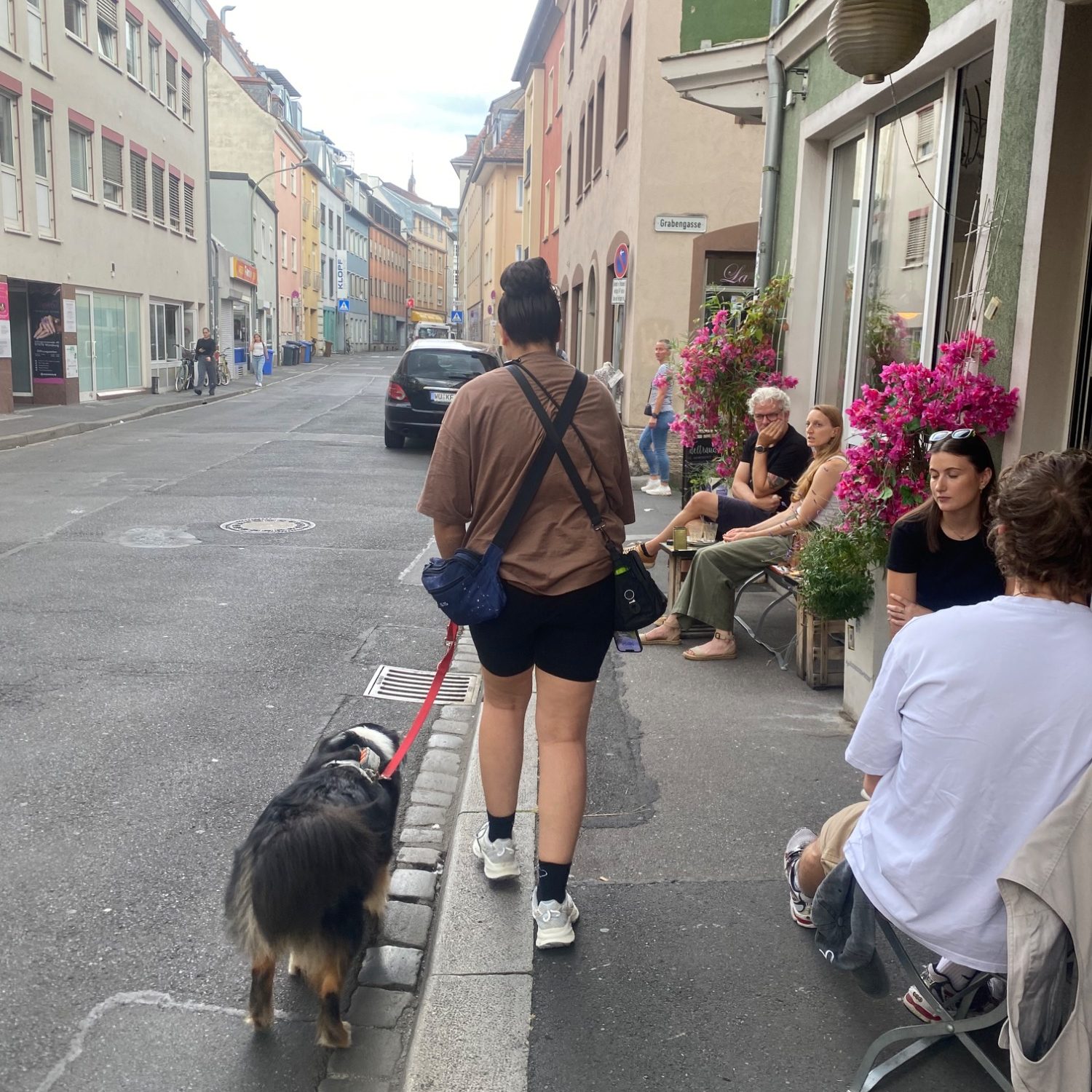 Alltag statt Hundeplatz