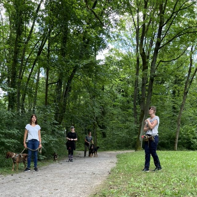 Social Walk