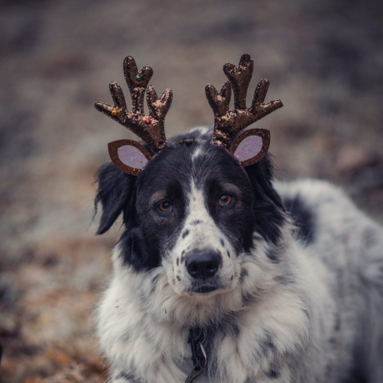 Adventswalk