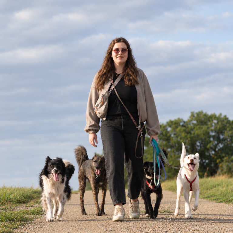 Team von Lingubello (2024) zwei Hunde + ein Mensch = ein Team